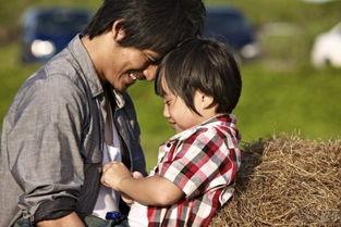 娱乐吃瓜酱父子,揭秘娱乐圈背后的温馨故事