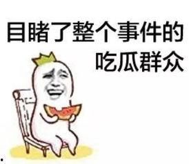 娱乐吃瓜菌人人有苦衷,人人有苦衷，吃瓜菌带你探秘幕后真相