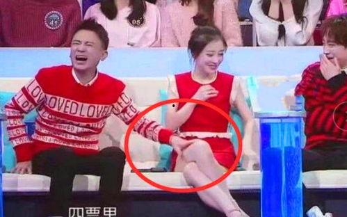 娱乐圈综艺节目吃瓜小说,揭秘明星们的“吃瓜”生活