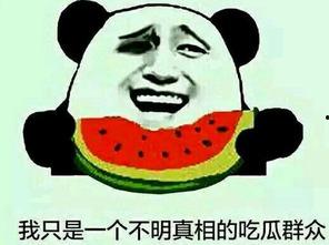 吃瓜群众是成语吗,揭秘网络热词背后的成语文化