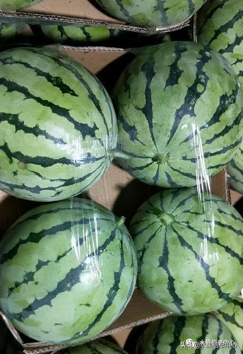 吃瓜汇总2021,盘点娱乐圈风云变幻